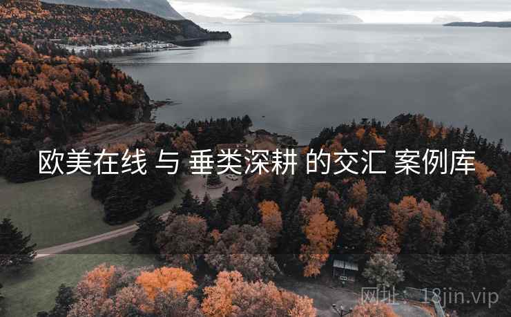 欧美在线 与 垂类深耕 的交汇 案例库  第2张