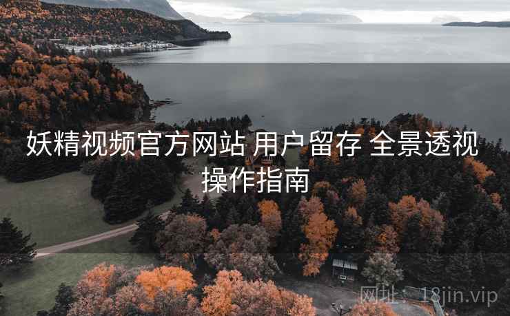 妖精视频官方网站 用户留存 全景透视 操作指南  第1张