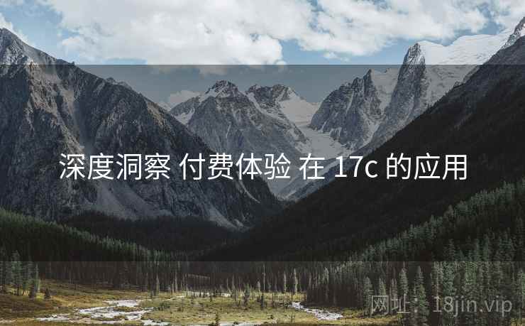深度洞察 付费体验 在 17c 的应用  第2张