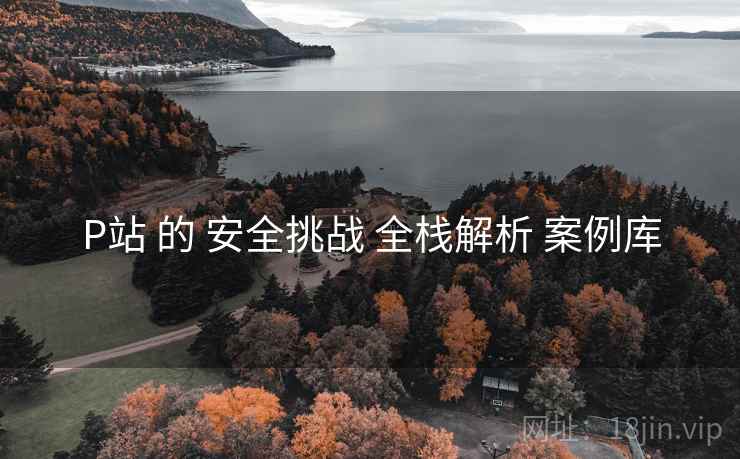 P站 的 安全挑战 全栈解析 案例库  第1张