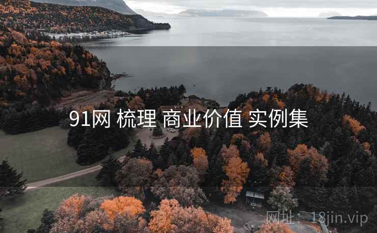 91网 梳理 商业价值 实例集  第2张