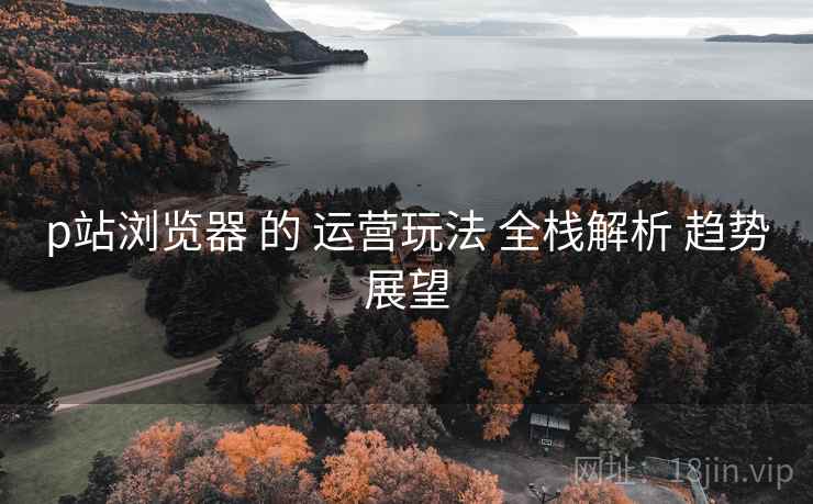 p站浏览器 的 运营玩法 全栈解析 趋势展望  第2张