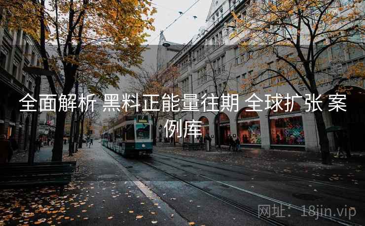 全面解析 黑料正能量往期 全球扩张 案例库  第1张