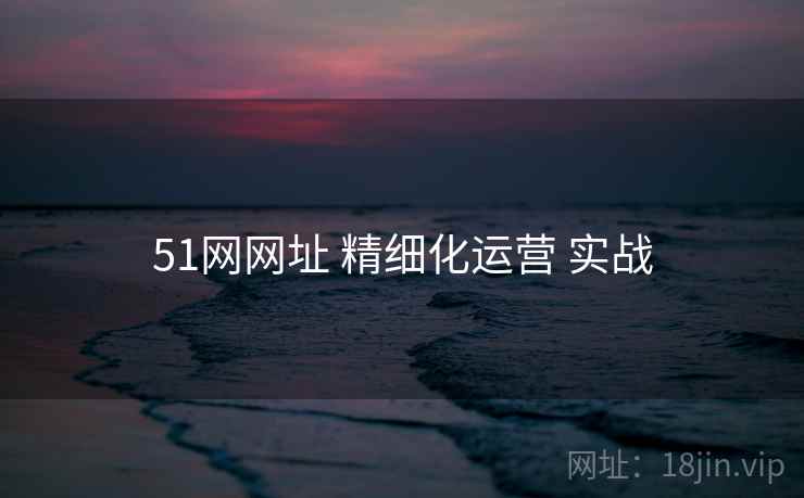 51网网址 精细化运营 实战  第2张