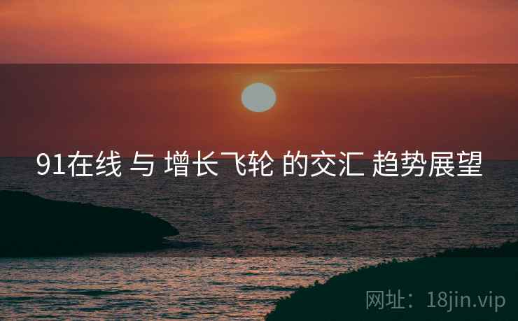 91在线 与 增长飞轮 的交汇 趋势展望  第2张