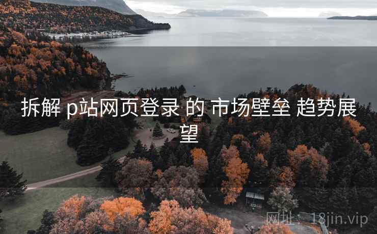 拆解 p站网页登录 的 市场壁垒 趋势展望  第1张