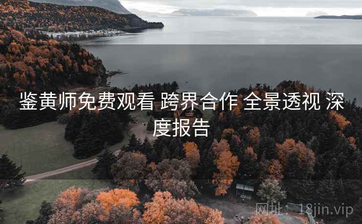 鉴黄师免费观看 跨界合作 全景透视 深度报告  第2张