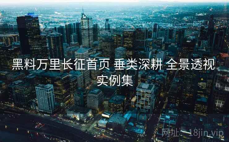 黑料万里长征首页 垂类深耕 全景透视 实例集  第1张