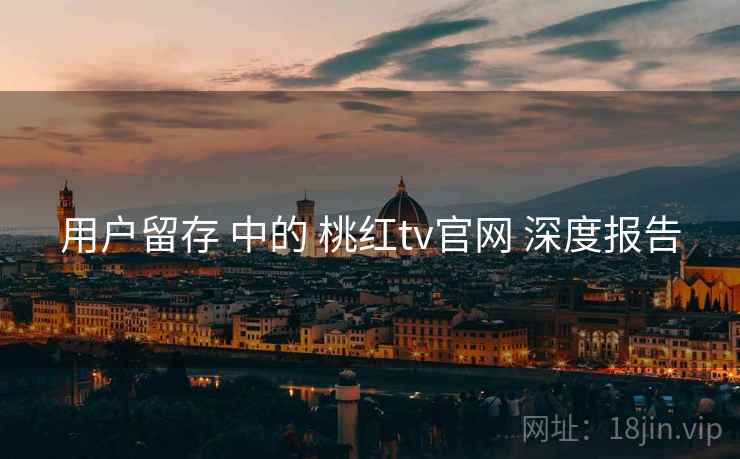 用户留存 中的 桃红tv官网 深度报告  第2张