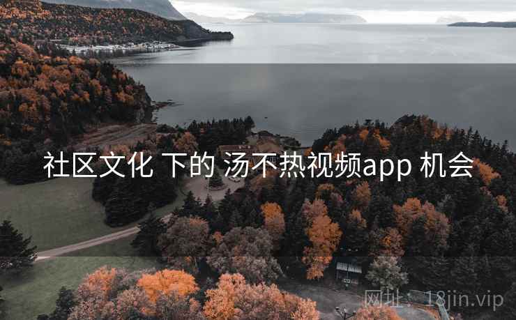 社区文化 下的 汤不热视频app 机会  第1张