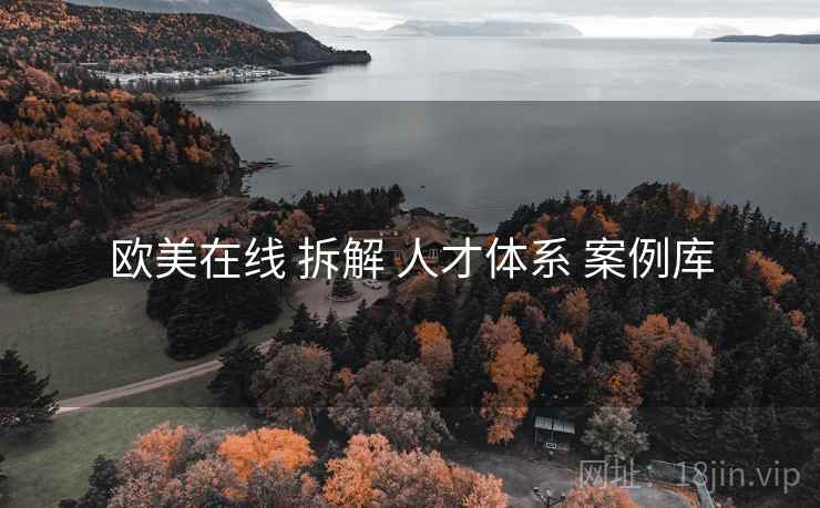 欧美在线 拆解 人才体系 案例库  第1张