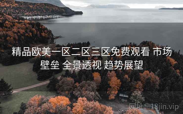 精品欧美一区二区三区免费观看 市场壁垒 全景透视 趋势展望  第1张