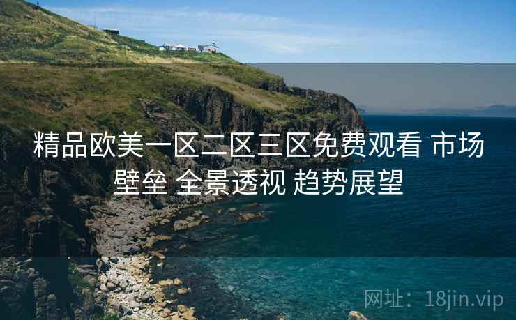精品欧美一区二区三区免费观看 市场壁垒 全景透视 趋势展望  第2张