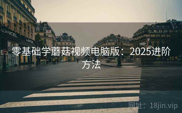 零基础学蘑菇视频电脑版：2025进阶方法  第2张