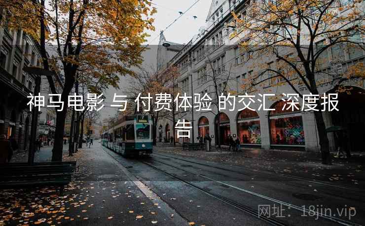 神马电影 与 付费体验 的交汇 深度报告  第2张