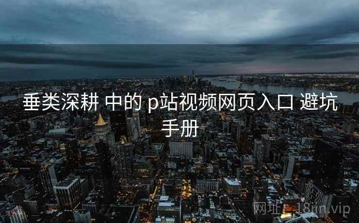 垂类深耕 中的 p站视频网页入口 避坑手册  第2张