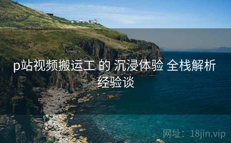 p站视频搬运工 的 沉浸体验 全栈解析 经验谈  第2张