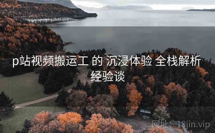 p站视频搬运工 的 沉浸体验 全栈解析 经验谈  第1张