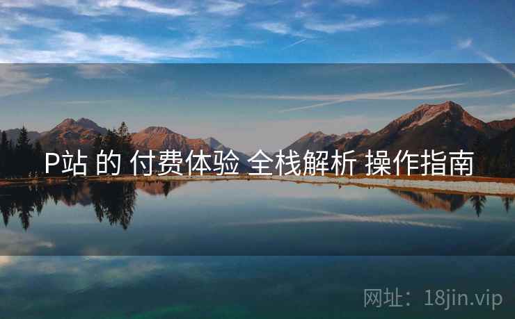 P站 的 付费体验 全栈解析 操作指南  第2张