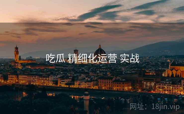 吃瓜 精细化运营 实战 第1张 吃瓜 精细化运营 实战 第1张