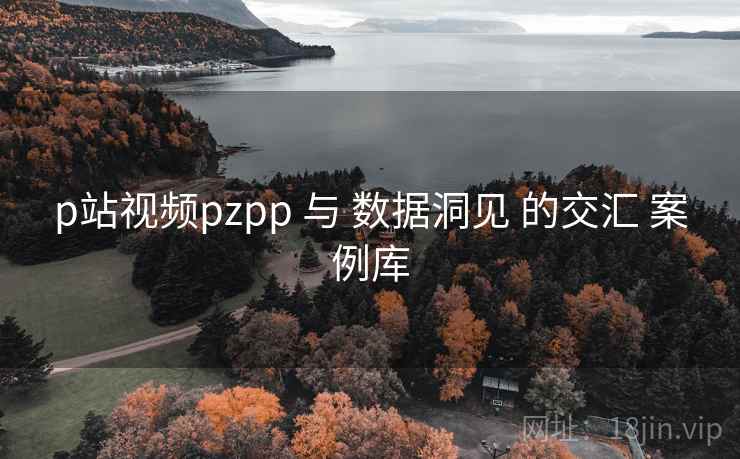 p站视频pzpp 与 数据洞见 的交汇 案例库  第1张