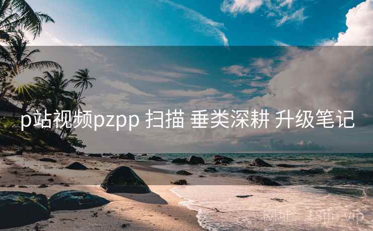 p站视频pzpp 扫描 垂类深耕 升级笔记  第1张